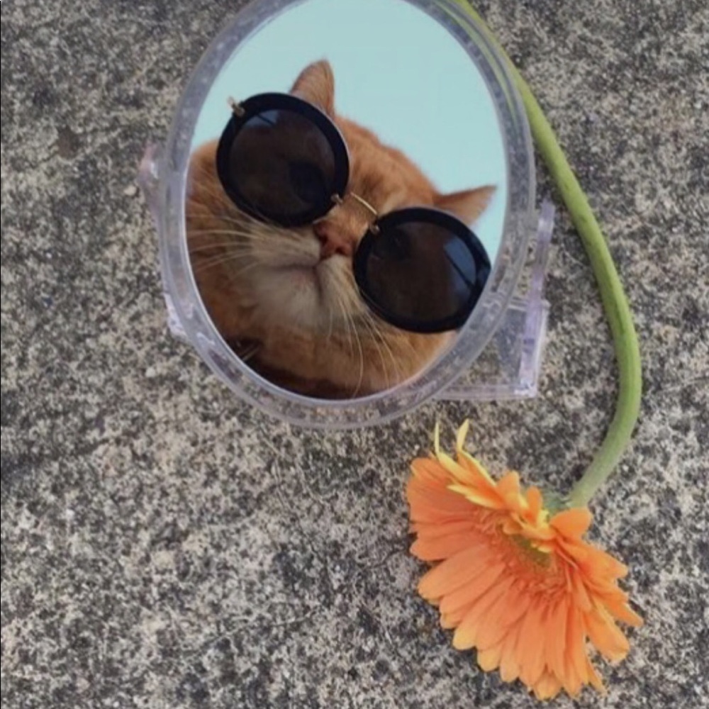 Meet your Posher, Marilin